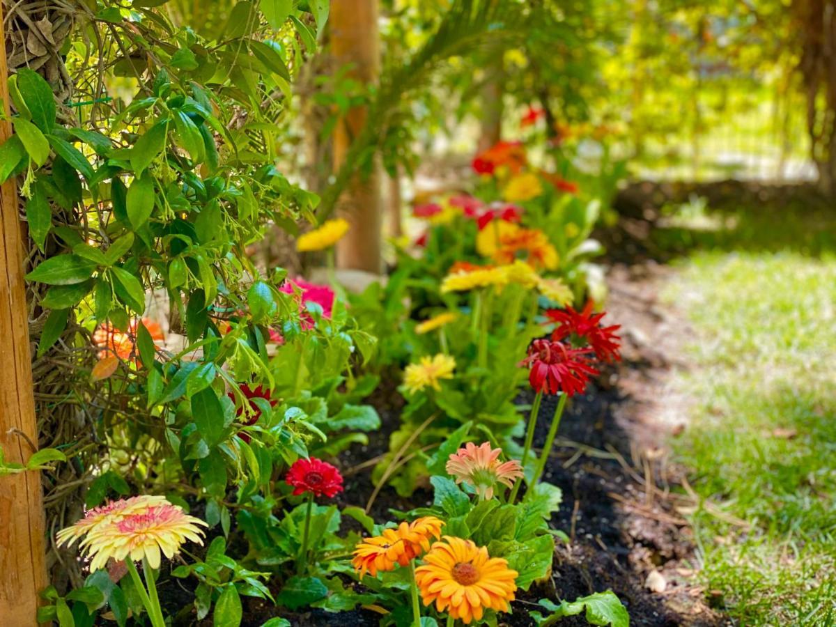 Beach Garden Paradise Durres Exterior photo